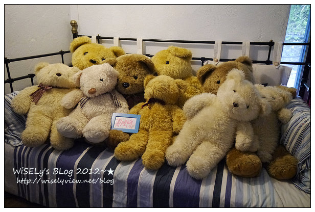 【隨拍】Panasonic Lumix GX1：桃園縣．復興鄉~我在7號公路遇見貓，牠的名字叫布丁(圖多分頁有貓寫真)