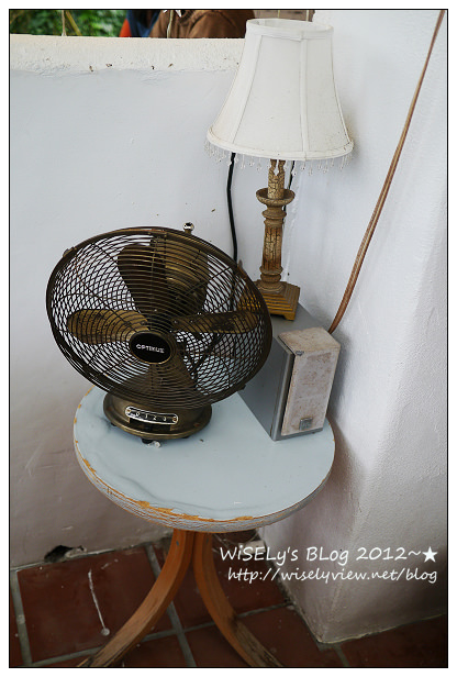 【隨拍】Panasonic Lumix GX1：桃園縣．復興鄉~我在7號公路遇見貓，牠的名字叫布丁(圖多分頁有貓寫真)