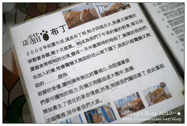 【隨拍】Panasonic Lumix GX1：桃園縣．復興鄉~我在7號公路遇見貓，牠的名字叫布丁(圖多分頁有貓寫真)