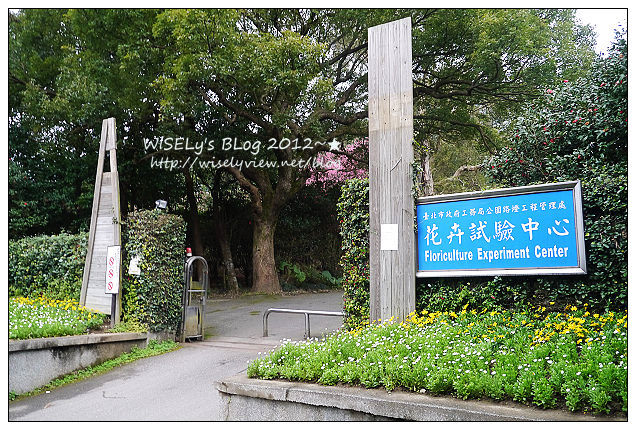 【隨拍】Panasonic Lumix GX1：2012寒櫻隨拍＠烏來花園新城、陽明山菁山路一帶、仰德大道花卉試驗中心，再過幾天花會開的更漂亮 (拍攝櫻花小技巧心得分享)