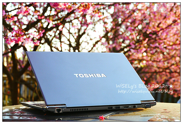 【遊玩】台北陽明山．禾豐農場櫻花隨拍(草山平等里平菁街42巷)，現今花況略差已過最大值～相約明年再訪；但意外好吃的想啟手工小饅頭，個人超推新品南瓜饅頭，吃了就想打包買10個