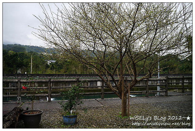 【食記】新北市．坪林區：坪林老街-心心西點麵包店(芋頭/奶酥土司)、全億茶行風味餐熱炒、重機聚集的香草庭園咖啡、遠眺山水的觀魚吊橋 (圖多分頁)