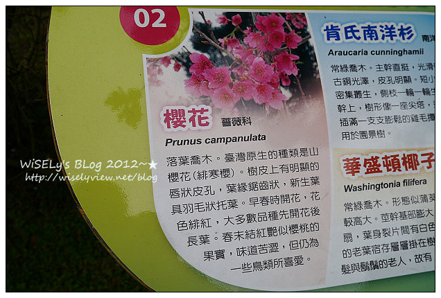 【隨拍】Panasonic Lumix GX1：台北市．中正紀念堂：櫻花步道輕鬆行(含拍攝場地指南&交通資訊)，適合全家老小一起去走走～以及周邊美食相關分享