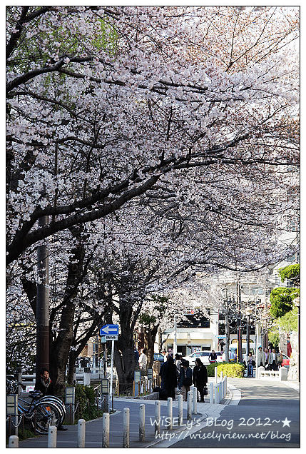 【旅行】2011日本京都:從木屋町通順著「高瀨川一之船入」慢遊,有流水有櫻花有陽光的午后 【旅行】2011日本京都:從木屋町通順著「高瀨川一之船入」慢遊,有流水有櫻花有陽光的午后