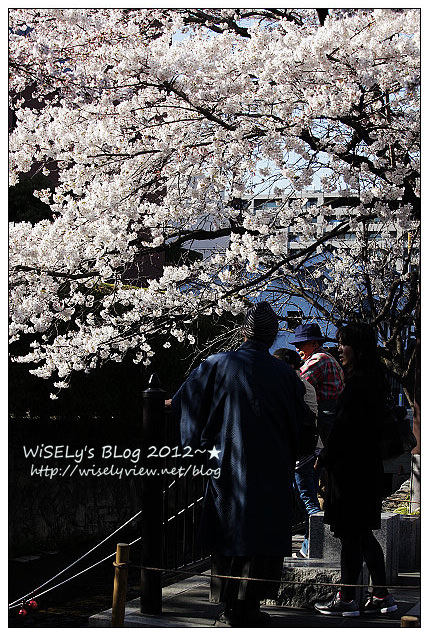 【旅行】2011日本京都:從木屋町通順著「高瀨川一之船入」慢遊,有流水有櫻花有陽光的午后 【旅行】2011日本京都:從木屋町通順著「高瀨川一之船入」慢遊,有流水有櫻花有陽光的午后