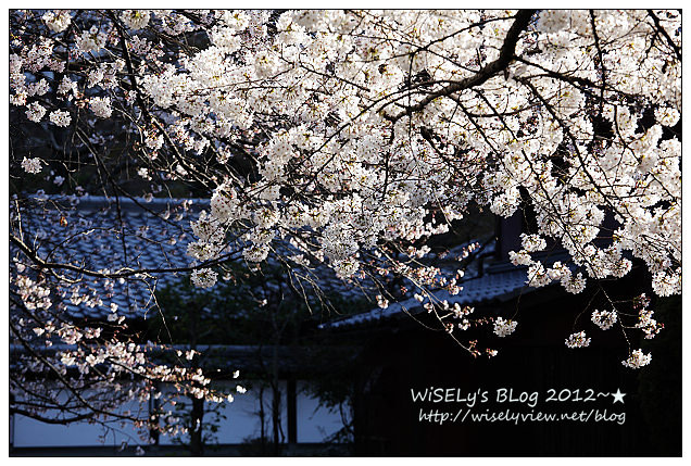 【旅行】2011日本京都:從木屋町通順著「高瀨川一之船入」慢遊,有流水有櫻花有陽光的午后 【旅行】2011日本京都:從木屋町通順著「高瀨川一之船入」慢遊,有流水有櫻花有陽光的午后