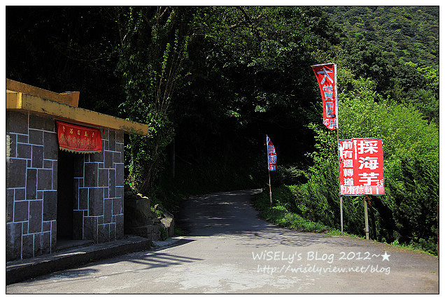 【遊玩】台北．陽明山：頂湖大賞園採海芋隨拍及交通資訊（2012竹子湖海竽季）