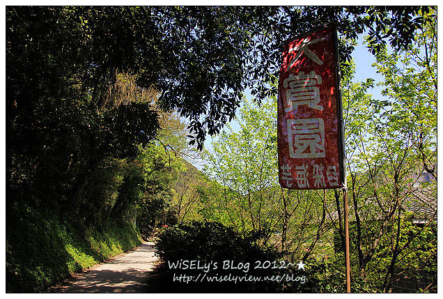 【遊玩】台北．陽明山：頂湖大賞園採海芋隨拍及交通資訊（2012竹子湖海竽季）