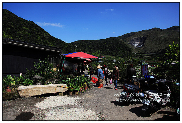 【遊玩】台北．陽明山：頂湖大賞園採海芋隨拍及交通資訊（2012竹子湖海竽季）