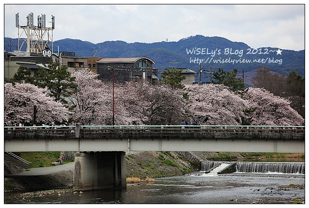 【旅行】2011日本.京都:賀茂川堤防的高野川櫻花~閒遊也有好風景 【旅行】2011日本.京都:賀茂川堤防的高野川櫻花~閒遊也有好風景