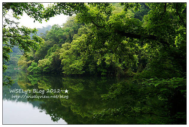 【遊玩】穿著KEEN戶外多功能運動鞋，輕鬆漫遊桃園秘境美景＠台灣好行慈湖線