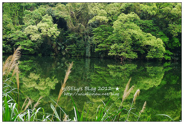 【遊玩】穿著KEEN戶外多功能運動鞋，輕鬆漫遊桃園秘境美景＠台灣好行慈湖線
