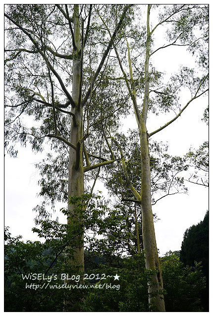 【遊玩】穿著KEEN戶外多功能運動鞋，輕鬆漫遊桃園秘境美景＠台灣好行慈湖線