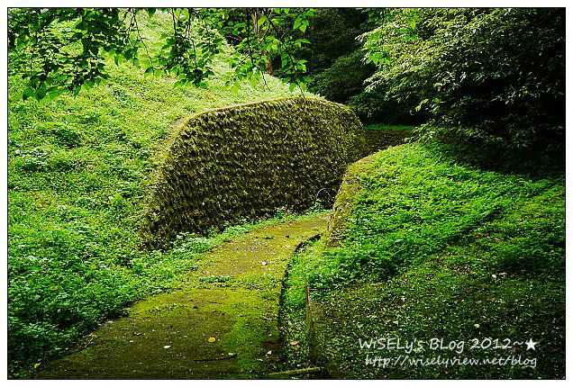 【遊玩】穿著KEEN戶外多功能運動鞋，輕鬆漫遊桃園秘境美景＠台灣好行慈湖線
