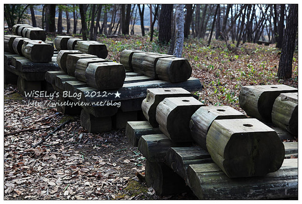 【旅行】2012日本．長野：大町溫泉鄉「山田屋」住宿、酒之博物館參訪、信州松崎和紙製作體驗、品嚐小松屋鰻魚飯、諏訪高山製粉蕎麥麵見學