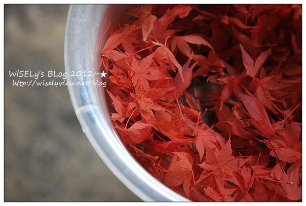 【旅行】2012日本．長野：大町溫泉鄉「山田屋」住宿、酒之博物館參訪、信州松崎和紙製作體驗、品嚐小松屋鰻魚飯、諏訪高山製粉蕎麥麵見學