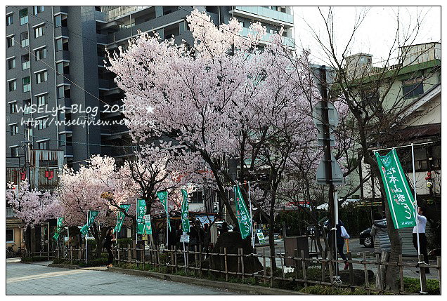 【旅行】2012日本．長野：松本市美術館(草間彌生)、ホテル花月は住宿、縄手通り至人形町街道漫遊、松本車站隨拍、星巴克NAGANO長野杯、松本PARCO用餐(5 HQRN)、松本城及夜櫻留影