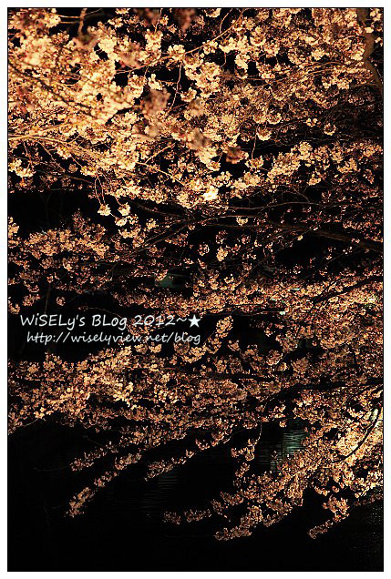 【旅行】2012日本．長野：松本市美術館(草間彌生)、ホテル花月は住宿、縄手通り至人形町街道漫遊、松本車站隨拍、星巴克NAGANO長野杯、松本PARCO用餐(5 HQRN)、松本城及夜櫻留影