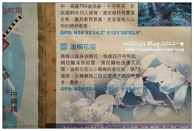 【食記】桃園縣.楊梅市:阿蘭姐三代老店客家菜@在地口味便宜份量多,白飯吃到飽 【食記】桃園縣.楊梅市:阿蘭姐三代老店客家菜@在地口味便宜份量多,白飯吃到飽