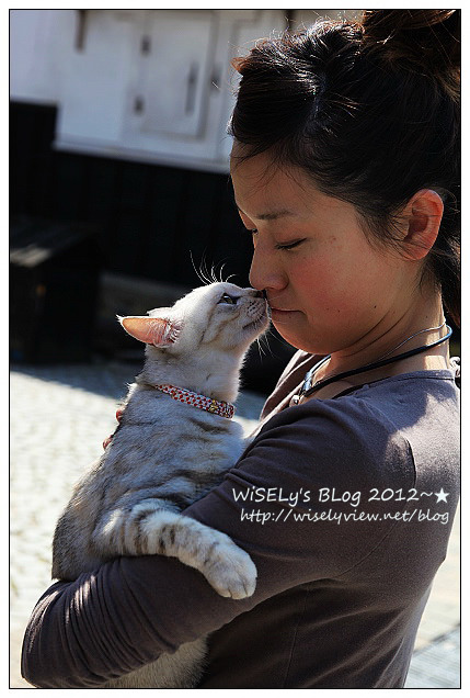 【旅行】2012日本．岐阜：古川祭神轎遊行巧遇「子供歌舞妓」，品嚐山腰樓和食與井之廣味噌煎餅、逛祭典屋台和大啖飛騨霜降牛串烤