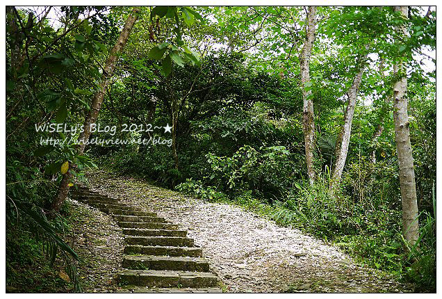 【遊玩】2012回宜蘭過母親節：退步的羅東八味日式料理屋、阿默好吃的瑞士巧克力莓果蛋糕、冬山鄉仁山植物園賞油桐，員山鄉橘子咖啡嚐手工麵包看夜景