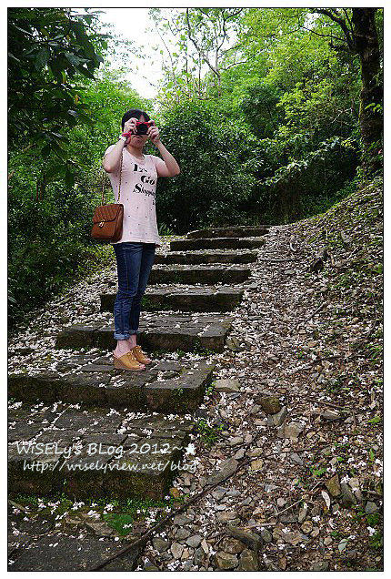 【遊玩】2012回宜蘭過母親節：退步的羅東八味日式料理屋、阿默好吃的瑞士巧克力莓果蛋糕、冬山鄉仁山植物園賞油桐，員山鄉橘子咖啡嚐手工麵包看夜景