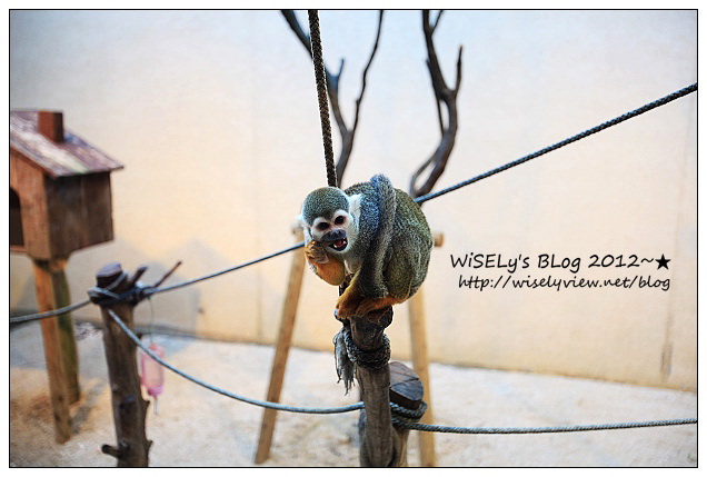 【旅行】日本．沖繩：The Beach Tower Hoter美濱之城，鄰近美國村住宿飯店，及JUSCO摩天輪夜景隨拍