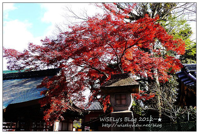 【旅行】2011日本．京都：北野天滿宮(龍年)天神祭@摸神牛長智慧＆市集屋台隨拍