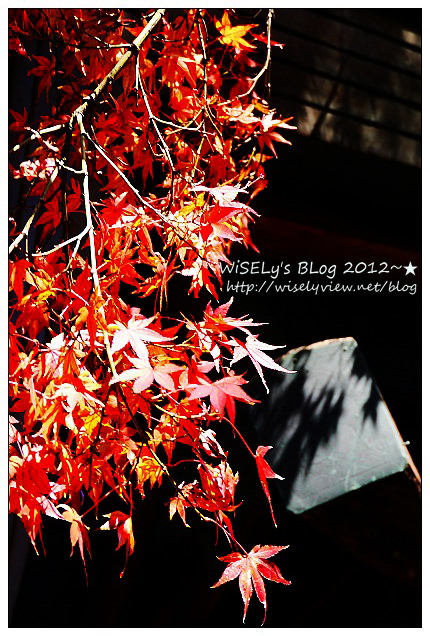 【旅行】2011日本．京都：北野天滿宮(龍年)天神祭@摸神牛長智慧＆市集屋台隨拍