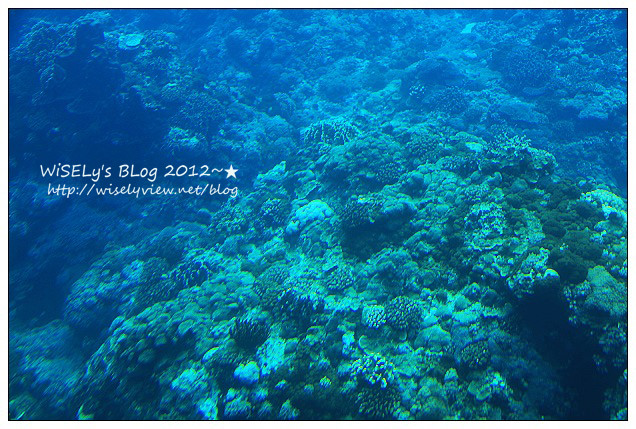 【遊玩】2012台東綠島遊:輕鬆乘坐半潛玻璃船,來看海底裏太空的珊瑚美景 【遊玩】2012台東綠島遊:輕鬆乘坐半潛玻璃船,來看海底裏太空的珊瑚美景