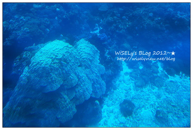 【遊玩】2012台東綠島遊:輕鬆乘坐半潛玻璃船,來看海底裏太空的珊瑚美景 【遊玩】2012台東綠島遊:輕鬆乘坐半潛玻璃船,來看海底裏太空的珊瑚美景