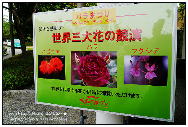 【旅行】2012日本．中部北陸之旅：三重縣-名花之里(なばなの里)@繽紛綻放的花花世界，還可高空欣賞周遭美景 (圖多)