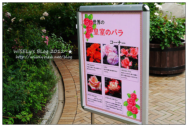 【旅行】2012日本．中部北陸之旅：三重縣-名花之里(なばなの里)@繽紛綻放的花花世界，還可高空欣賞周遭美景 (圖多)