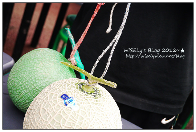 【旅行】2012日本．中部北陸之旅：愛知縣-SEA SIDE FARM (伊良湖)@美味平價的哈蜜瓜，讓人嚐一口後就離不開了…順便教你如何挑好瓜