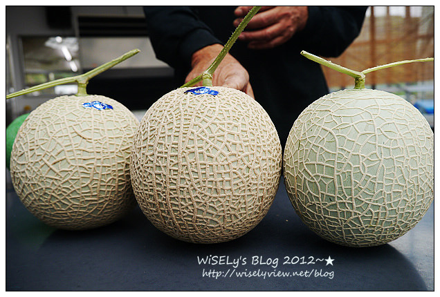 【旅行】2012日本．中部北陸之旅：愛知縣-SEA SIDE FARM (伊良湖)@美味平價的哈蜜瓜，讓人嚐一口後就離不開了…順便教你如何挑好瓜