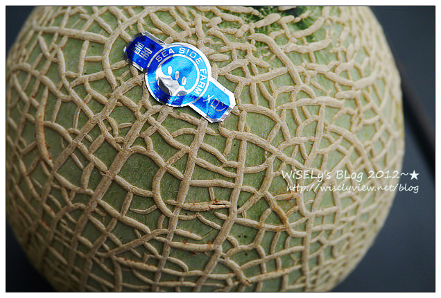 【旅行】2012日本．中部北陸之旅：愛知縣-SEA SIDE FARM (伊良湖)@美味平價的哈蜜瓜，讓人嚐一口後就離不開了…順便教你如何挑好瓜