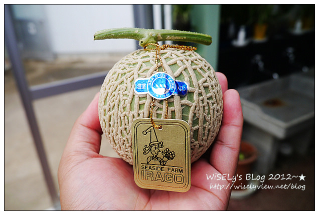 【旅行】2012日本．中部北陸之旅：愛知縣-SEA SIDE FARM (伊良湖)@美味平價的哈蜜瓜，讓人嚐一口後就離不開了…順便教你如何挑好瓜