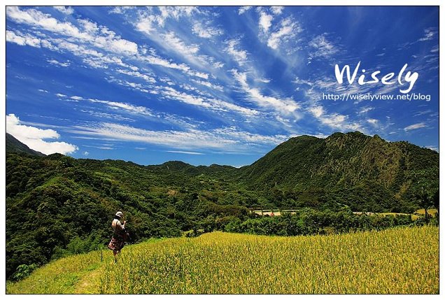 【心情】走不同的路，看不同的風景 @WISELY's 拍拍照寫寫字