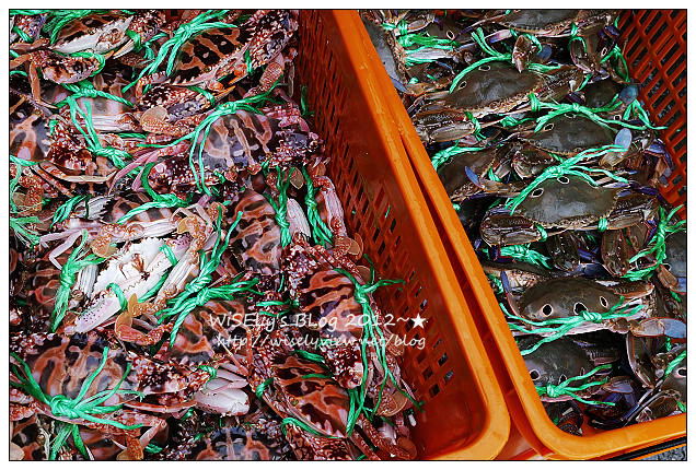 【美食】新北市．萬里區：魚村活海鮮＠秋嚐蟹肥好時節，蒸炒煮炸皆美味 (教你辨示並飽嚐多種萬里蟹料理)