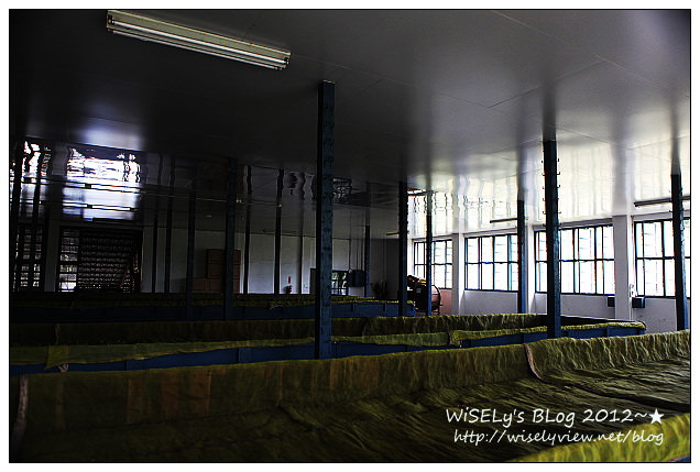 日月老茶廠︱彌漫紅茶香氣古蹟︱南投魚池景點