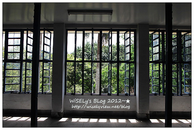 日月老茶廠︱彌漫紅茶香氣古蹟︱南投魚池景點