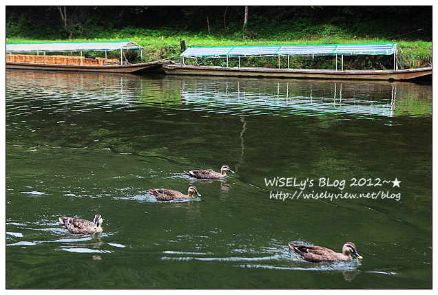 【旅行】2012日本．岩手縣：一關市景點＠猊鼻溪峽谷行～乘輕舟聽船歌，品嚐鮮美香魚餐