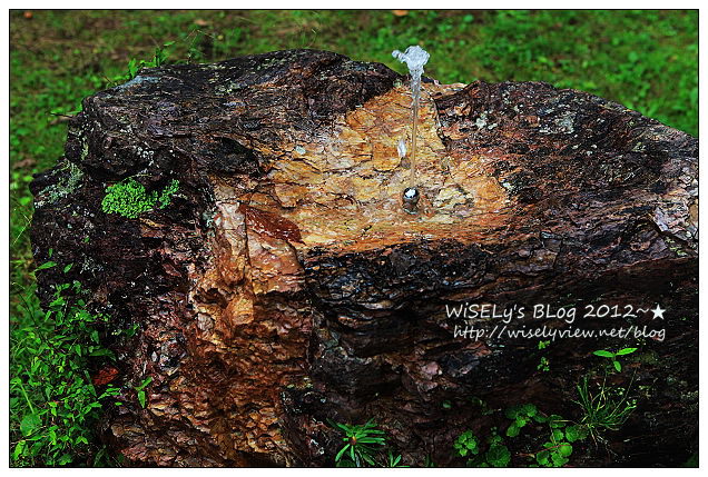 【旅行】2012日本．宮城縣：仙台市景點＠風光明媚的宮城峽蒸餾所，體驗佳釀的好去處