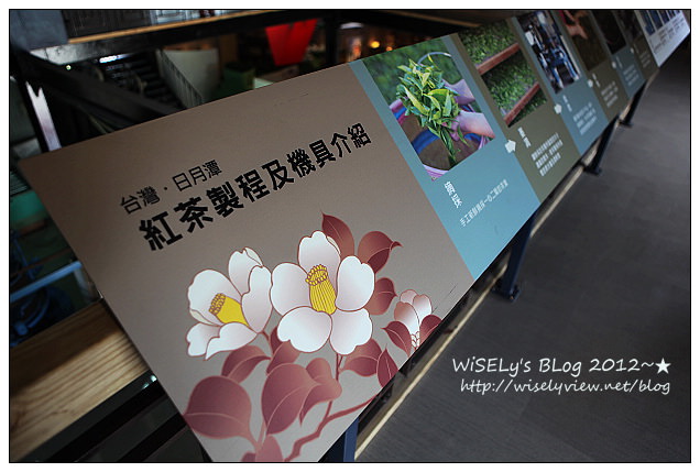 廖鄉長紅茶故事館︱魚池鄉經濟推手，重現紅茶香氣︱南投魚池景點