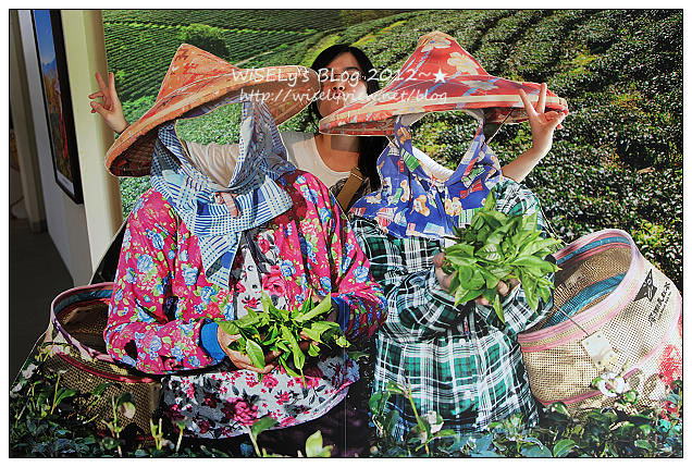 廖鄉長紅茶故事館︱魚池鄉經濟推手，重現紅茶香氣︱南投魚池景點