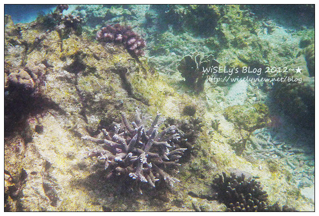 【試用】機長私藏．旅遊用具租借服務：花小錢租用高級RIMOWA行李箱及多樣實用旅遊產品