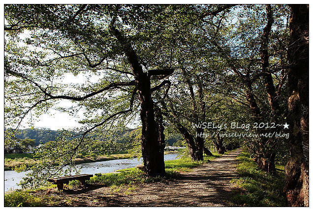 秋田。仙北市景點︱角館駅前藏及鬥神輿、櫻花道散策、武家屋敷、角館樺細工傳承館