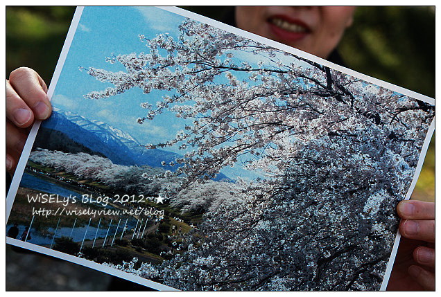 秋田。仙北市景點︱角館駅前藏及鬥神輿、櫻花道散策、武家屋敷、角館樺細工傳承館