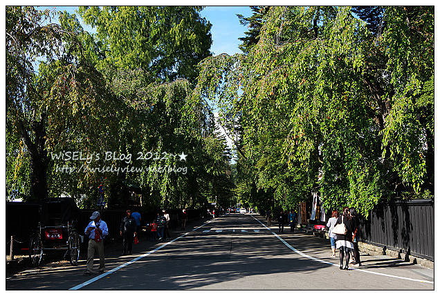 秋田。仙北市景點︱角館駅前藏及鬥神輿、櫻花道散策、武家屋敷、角館樺細工傳承館