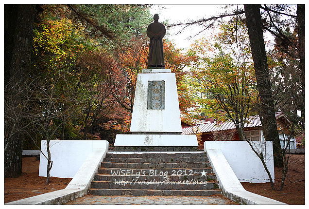 【景點】2012 ABW大叔熱血暴走團：福壽山農場松廬楓紅、合歡山休息用餐，苗栗銅鑼杭菊節賞菊(2012/11/05花況)